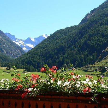 Albergo Du Soleil Cogne Eksteriør bilde